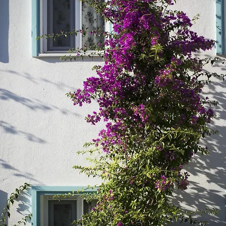 Istanbul Bodrum 3* Golturkbuku