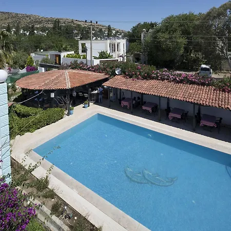 Istanbul Bodrum Golturkbuku